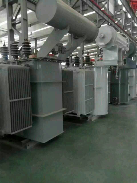 芦淞S11-6300KVA油浸式变压器